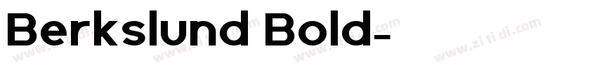 Berkslund Bold字体转换